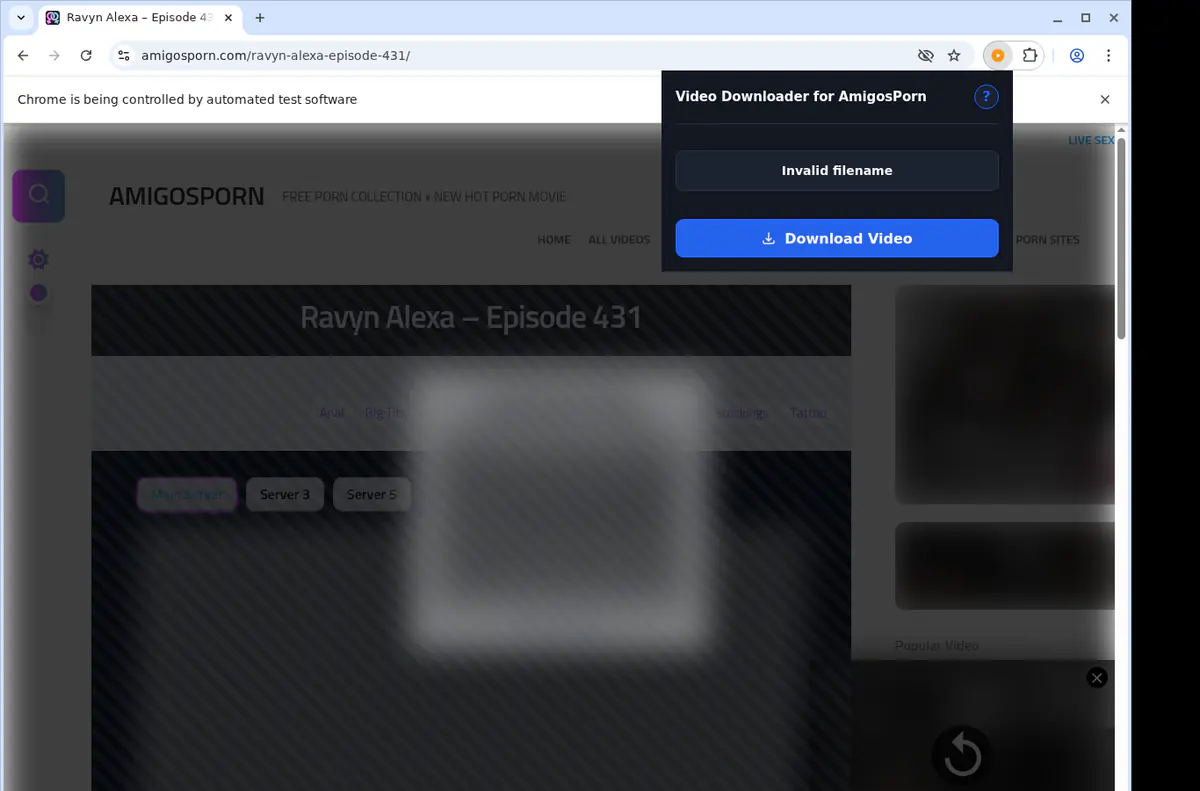 Amigosporn Video Downloader browser extension screenshot 2