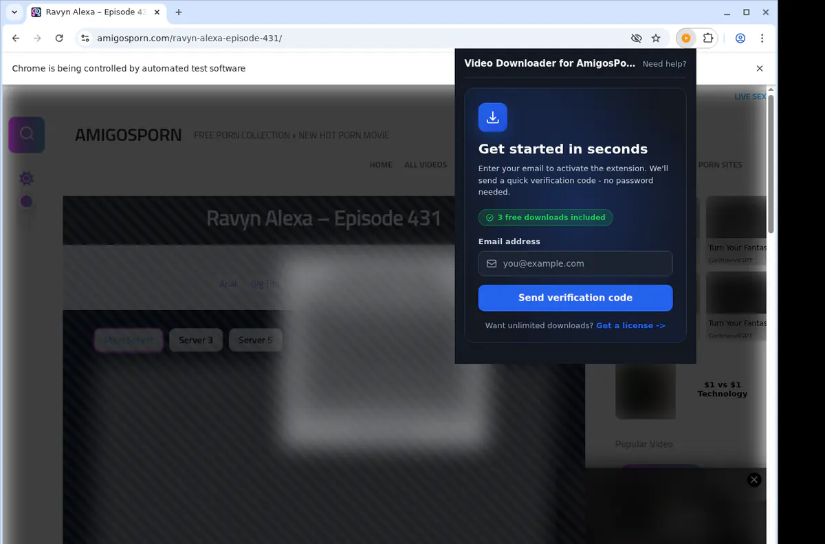 Amigosporn Video Downloader browser extension screenshot 4